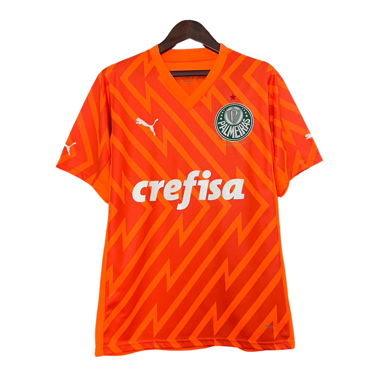 Palmeiras Goalkeeper Jersey 24/25 Fan Version