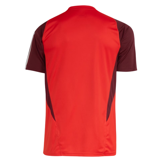 Camisa Internacional Treino 24/25 Torcedor