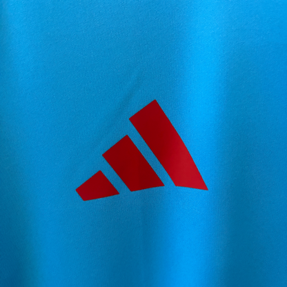 Camiseta de entrenamiento del Flamengo I 25/26 Versión Fan 