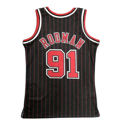 Toros de Chicago 1995-96 