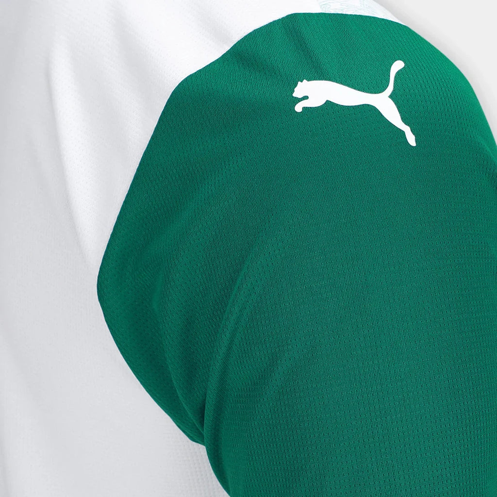 Palmeiras 25/26 II Away Jersey - Fan Version