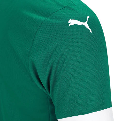 Palmeiras 25/26 I Home Jersey - Fan Version